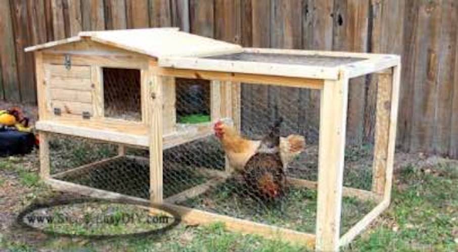 Build an Outdoor Chicken Coop using free plans.