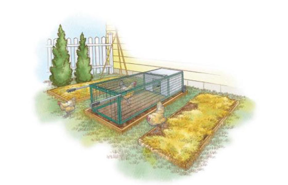 Free plans to build a Portable Chicken Coop.