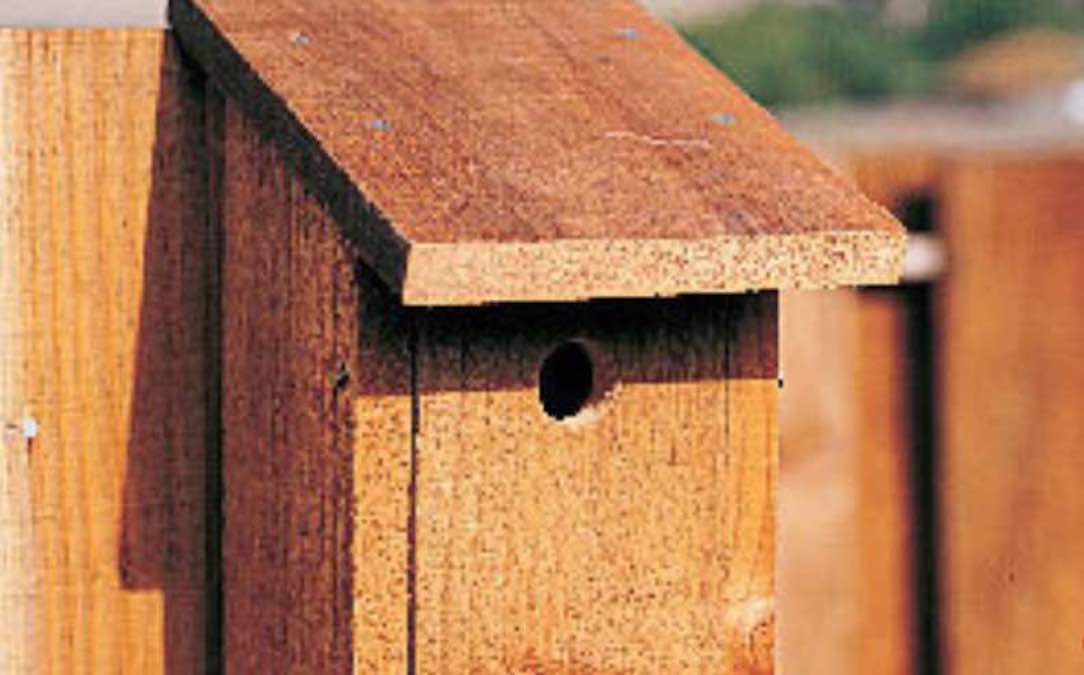 Easy to build Birdhouse with free plans.